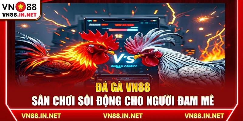 Đá gà VN88 – Sân chơi sôi động cho người đam mê