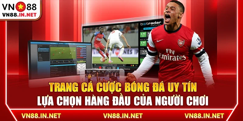 Trang cá cược bóng đá uy tín – Lựa chọn hàng đầu của người chơi