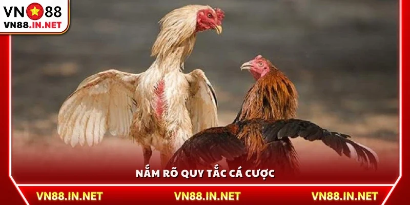 Nắm vững quy tắc cá cược