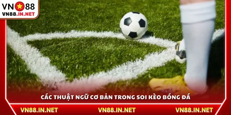 Các thuật ngữ soi kèo bóng đá cơ bản cần nắm